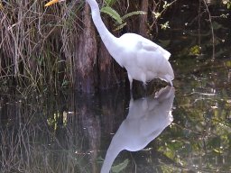 Florida_2007-2008-026